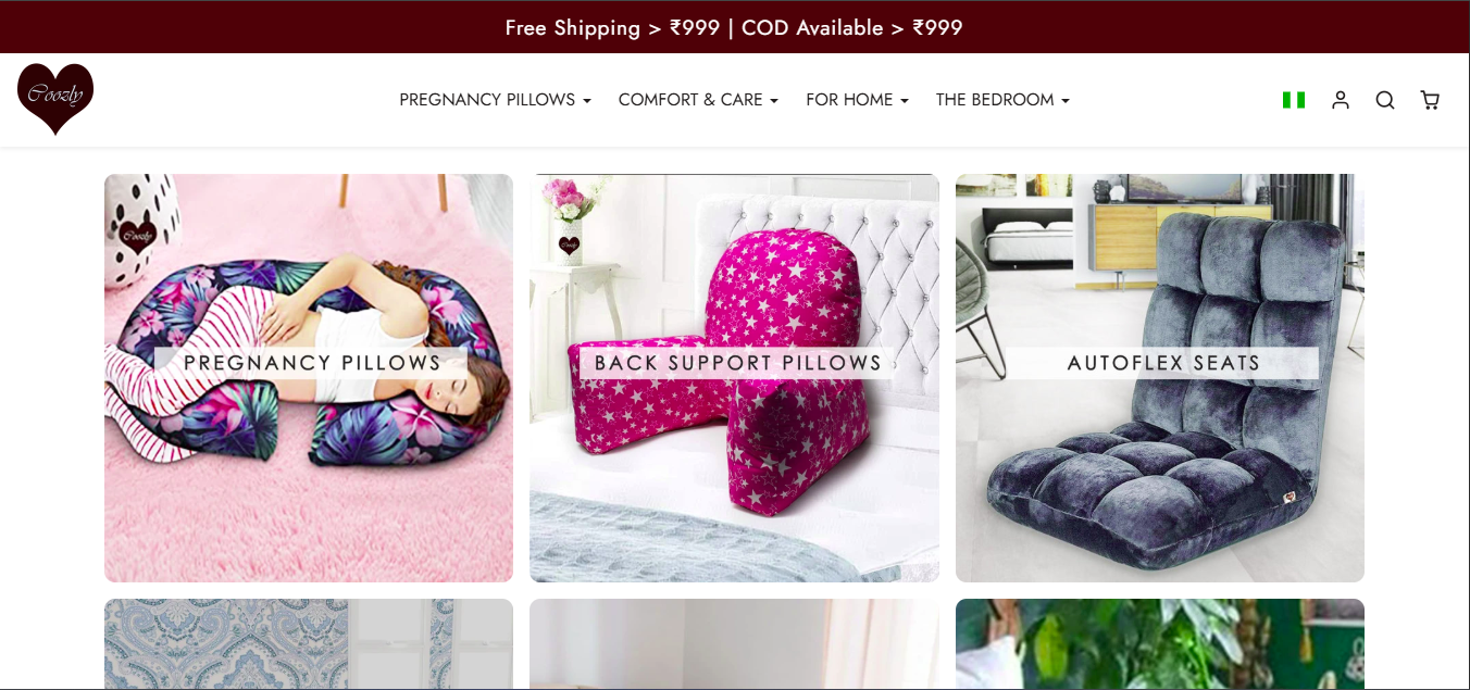 Coozly seo project